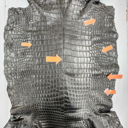 ワニ革 クロコ ナッパ仕上げ  黒 No.C008730 11枚目の画像