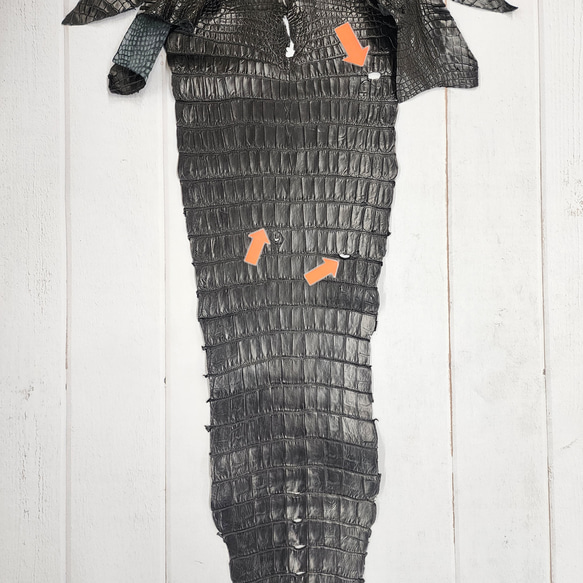 ワニ革 クロコ ナッパ仕上げ  黒 No.C008730 10枚目の画像