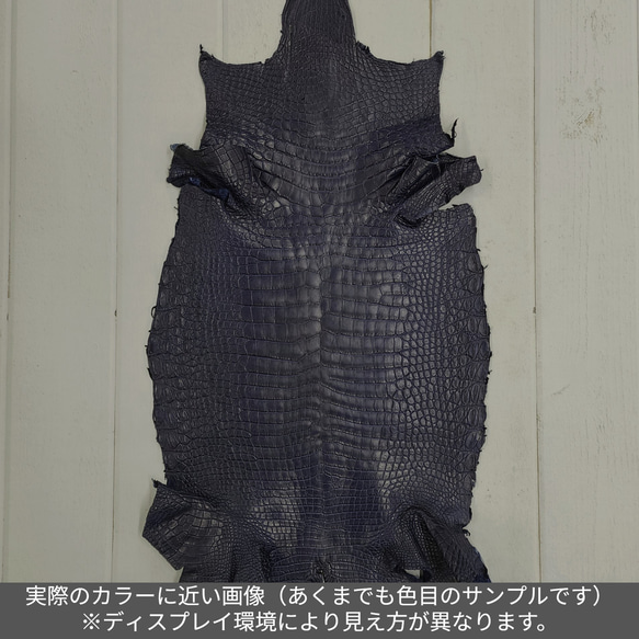 ワニ革 クロコ ヌメ・半艶マット ディープロイヤルブルー　No.C008760 2枚目の画像