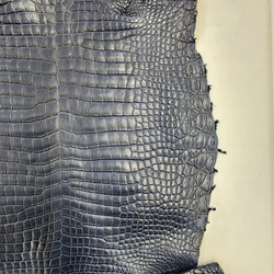 ワニ革 クロコ ヌメ・半艶マット ディープロイヤルブルー　No.C008760 11枚目の画像