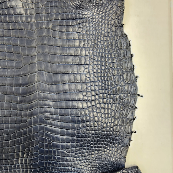 ワニ革 クロコ ヌメ・半艶マット ディープロイヤルブルー　No.C008760 11枚目の画像