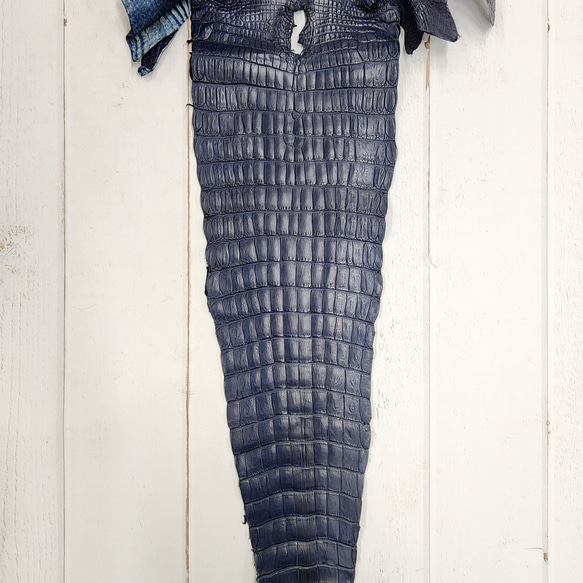 ワニ革 クロコ ヌメ・半艶マット ディープロイヤルブルー　No.C008760 5枚目の画像