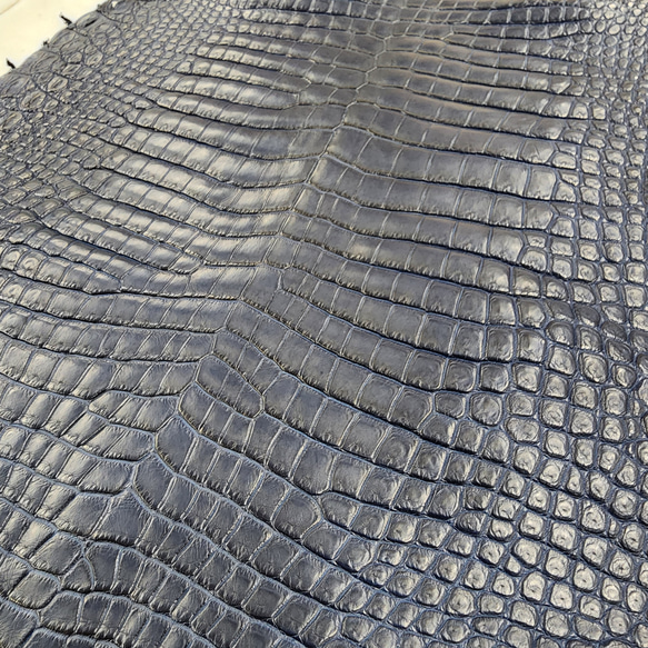 ワニ革 クロコ ヌメ・半艶マット ディープロイヤルブルー　No.C008760 12枚目の画像