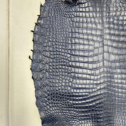 ワニ革 クロコ ヌメ・半艶マット ディープロイヤルブルー　No.C008760 10枚目の画像