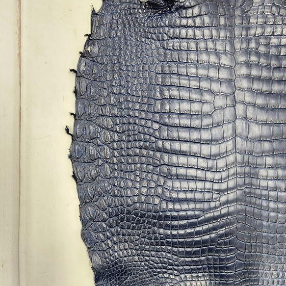 ワニ革 クロコ ヌメ・半艶マット ディープロイヤルブルー　No.C008760 10枚目の画像