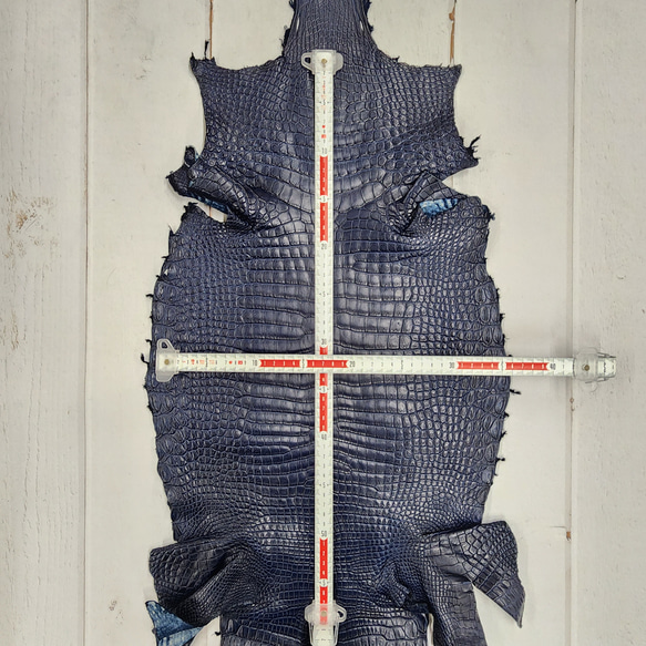 ワニ革 クロコ ヌメ・半艶マット ディープロイヤルブルー　No.C008760 6枚目の画像