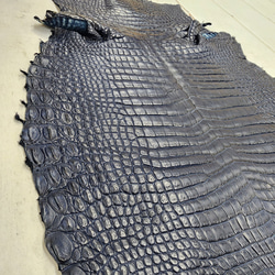 ワニ革 クロコ ヌメ・半艶マット ディープロイヤルブルー　No.C008760 14枚目の画像