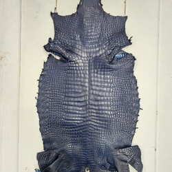 ワニ革 クロコ ヌメ・半艶マット ディープロイヤルブルー　No.C008760 1枚目の画像