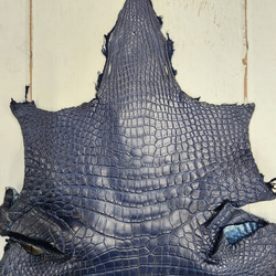 ワニ革 クロコ ヌメ・半艶マット ディープロイヤルブルー　No.C008760 3枚目の画像