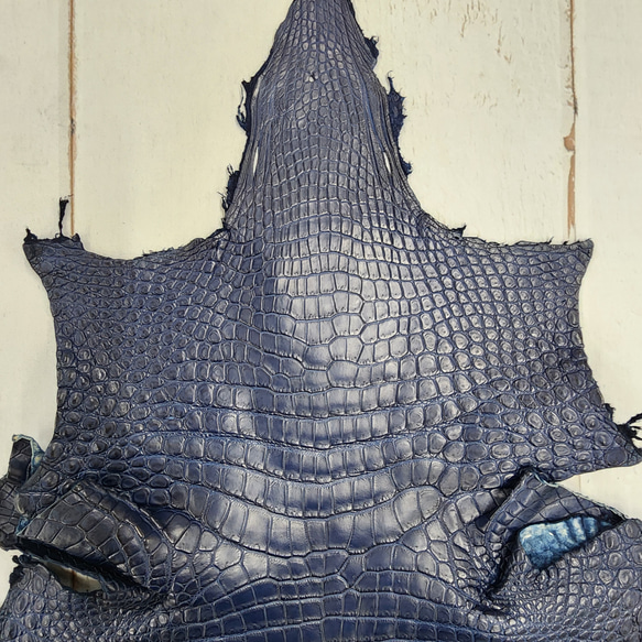 ワニ革 クロコ ヌメ・半艶マット ディープロイヤルブルー　No.C008760 3枚目の画像