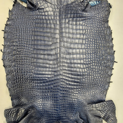 ワニ革 クロコ ヌメ・半艶マット ディープロイヤルブルー　No.C008760 4枚目の画像