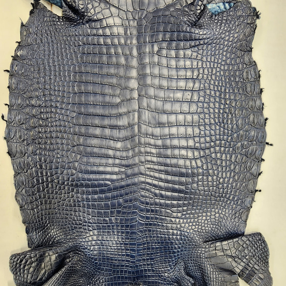 ワニ革 クロコ ヌメ・半艶マット ディープロイヤルブルー　No.C008760 4枚目の画像