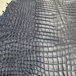 ワニ革 クロコ ヌメ・半艶マット ディープロイヤルブルー　No.C008760 13枚目の画像