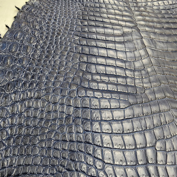 ワニ革 クロコ ヌメ・半艶マット ディープロイヤルブルー　No.C008760 13枚目の画像