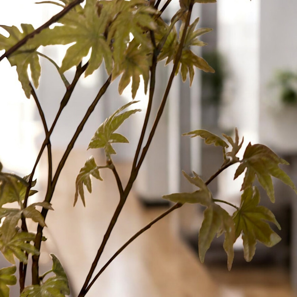 光触媒　人工観葉植物　ウォールグリーン　フェイクグリーン　フレキシブルもみじ 7枚目の画像