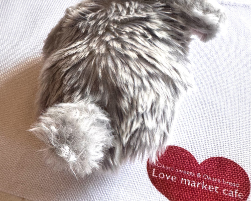 d972e313faf958bee224813eb288b4