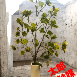 光触媒 人工観葉植物 ウォールグリーン フェイクグリーン ユッカ