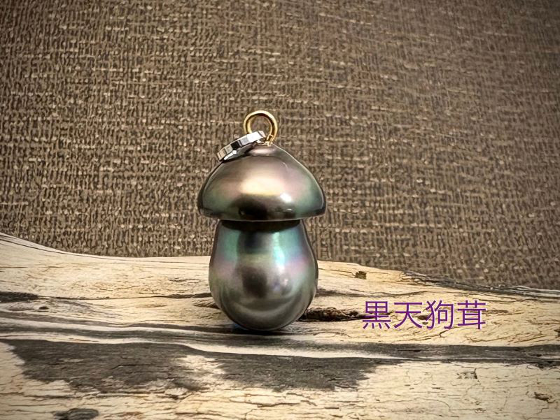 黒天狗茸（クロテングダケ）