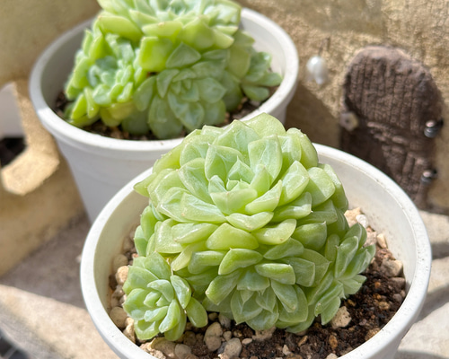 6744ed1c0e0b15d52a48a9938816e2