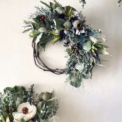 北海道オオウバユリのスワッグ ドライフラワースワッグ50cmサイズ