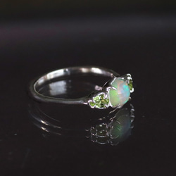 天然カラーチェンジガーネット0.67カラットのシルバーリング シルバー