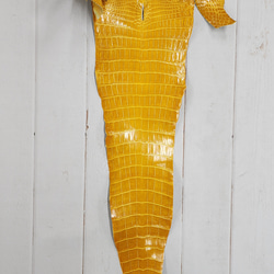 ワニ革 クロコ グレージング仕上げ  イエロースクワッシュ No.C008987 5枚目の画像