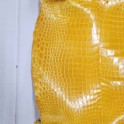 ワニ革 クロコ グレージング仕上げ  イエロースクワッシュ No.C008987 14枚目の画像