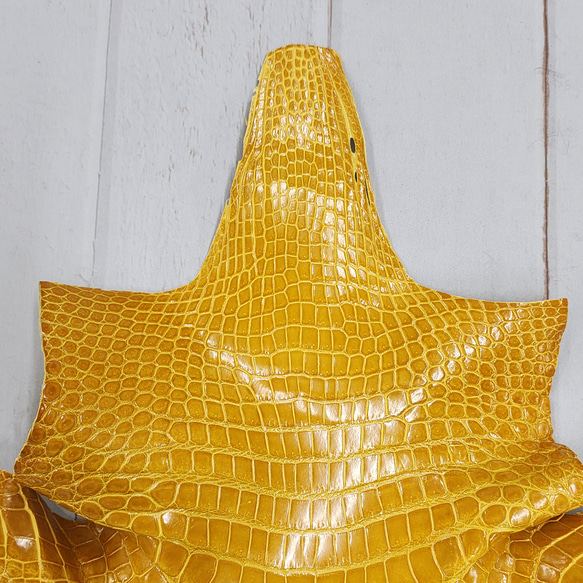 ワニ革 クロコ グレージング仕上げ  イエロースクワッシュ No.C008987 3枚目の画像