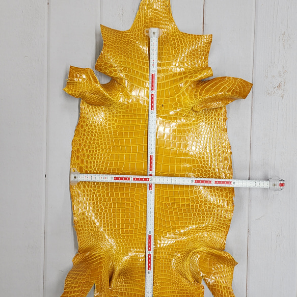 ワニ革 クロコ グレージング仕上げ  イエロースクワッシュ No.C008987 6枚目の画像