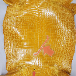 ワニ革 クロコ グレージング仕上げ  イエロースクワッシュ No.C008987 10枚目の画像