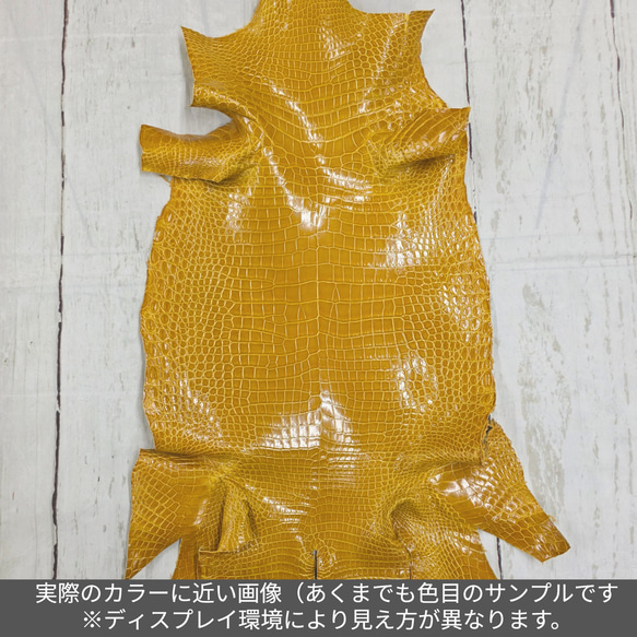 ワニ革 クロコ グレージング仕上げ  イエロースクワッシュ No.C008987 2枚目の画像
