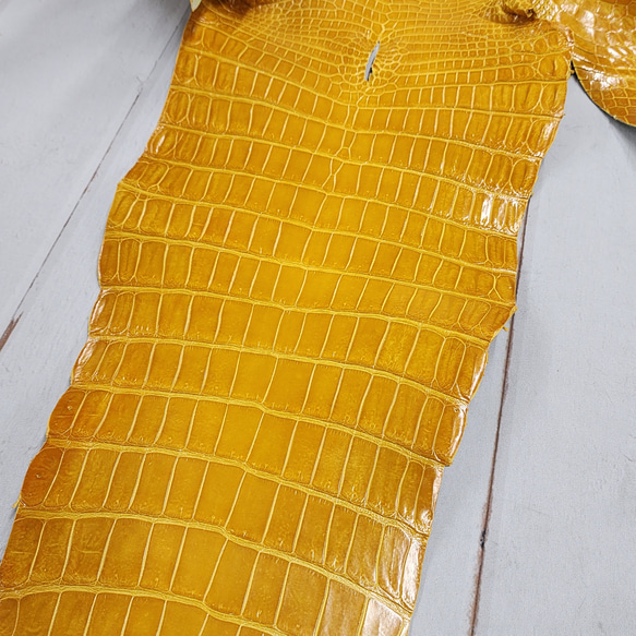 ワニ革 クロコ グレージング仕上げ  イエロースクワッシュ No.C008987 17枚目の画像