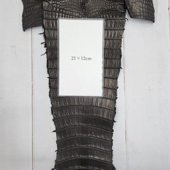 ワニ革 クロコ 半艶マット  黒　No.C009019 8枚目の画像