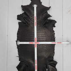 ワニ革 クロコ 半艶マット  黒　No.C009019 5枚目の画像