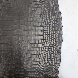 ワニ革 クロコ 半艶マット  黒　No.C009019 12枚目の画像