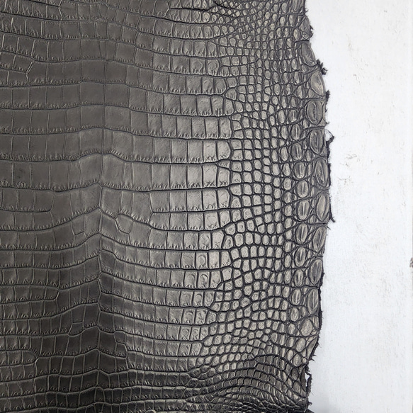 ワニ革 クロコ 半艶マット  黒　No.C009019 12枚目の画像