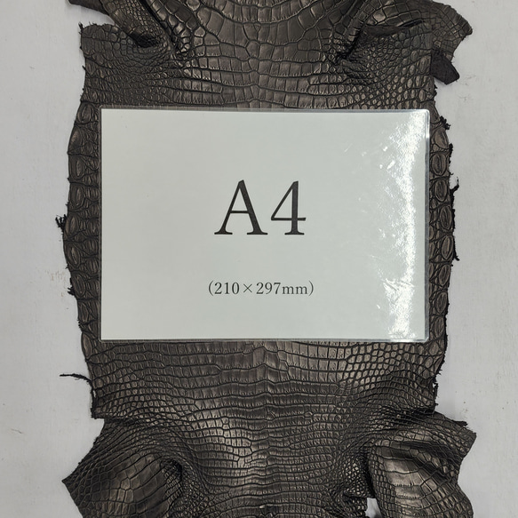 ワニ革 クロコ 半艶マット  黒　No.C009019 7枚目の画像