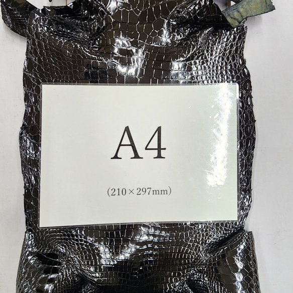 ワニ革 クロコ グレージング仕上げ  黒　No.C008972 7枚目の画像