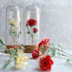 ヴァレリー　カサド　バラ　オブジェ　置物　薔薇 赤薔薇 プリザーブドフラワー デスティニーローズ5本 | スタイルから