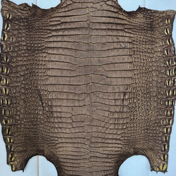 ワニ革　クロコ　ヌバック＆フレーム仕上げ　ショコラ＆シトロン　No.C009097 5枚目の画像