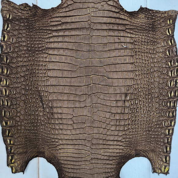 ワニ革　クロコ　ヌバック＆フレーム仕上げ　ショコラ＆シトロン　No.C009097 5枚目の画像