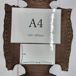 ワニ革　クロコ　ヌバック＆フレーム仕上げ　ショコラ＆シトロン　No.C009097 9枚目の画像