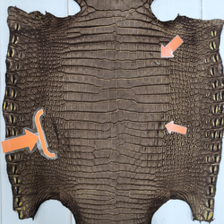 ワニ革　クロコ　ヌバック＆フレーム仕上げ　ショコラ＆シトロン　No.C009097 12枚目の画像