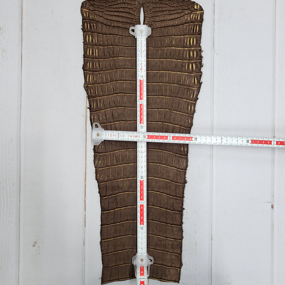 ワニ革　クロコ　ヌバック＆フレーム仕上げ　ショコラ＆シトロン　No.C009097 8枚目の画像