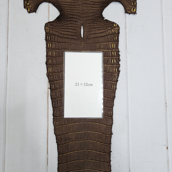 ワニ革　クロコ　ヌバック＆フレーム仕上げ　ショコラ＆シトロン　No.C009097 10枚目の画像