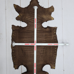 ワニ革　クロコ　ヌバック＆フレーム仕上げ　ショコラ＆シトロン　No.C009097 7枚目の画像