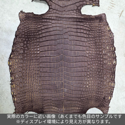 ワニ革　クロコ　ヌバック＆フレーム仕上げ　ショコラ＆シトロン　No.C009097 3枚目の画像