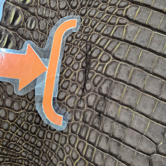 ワニ革　クロコ　ヌバック＆フレーム仕上げ　ショコラ＆シトロン　No.C009097 13枚目の画像