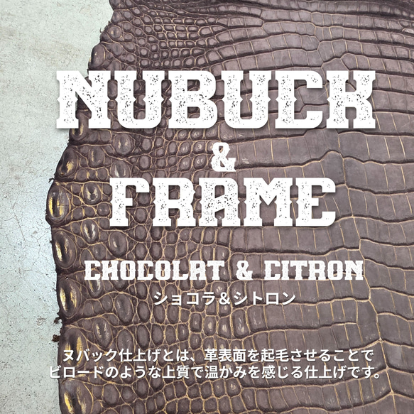 ワニ革　クロコ　ヌバック＆フレーム仕上げ　ショコラ＆シトロン　No.C009097 1枚目の画像