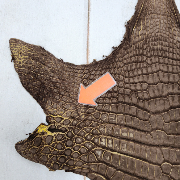 ワニ革　クロコ　ヌバック＆フレーム仕上げ　ショコラ＆シトロン　No.C009097 11枚目の画像